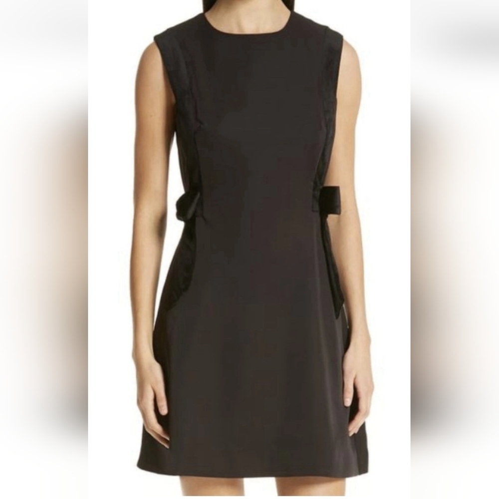Ted Baker Dress With Velvet Side Bows